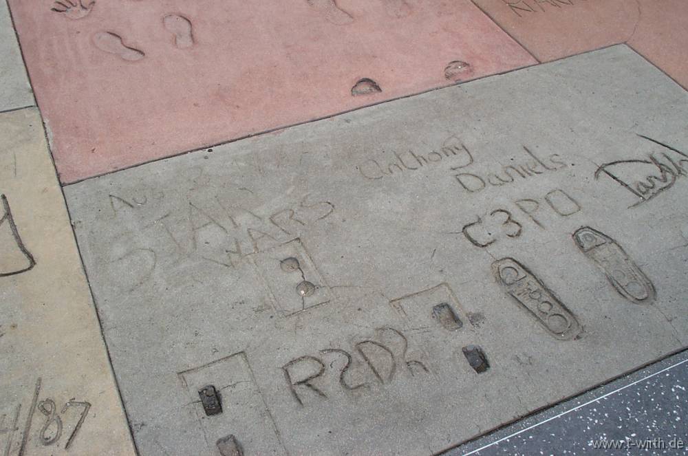 Zufallsbild aus der Galerie