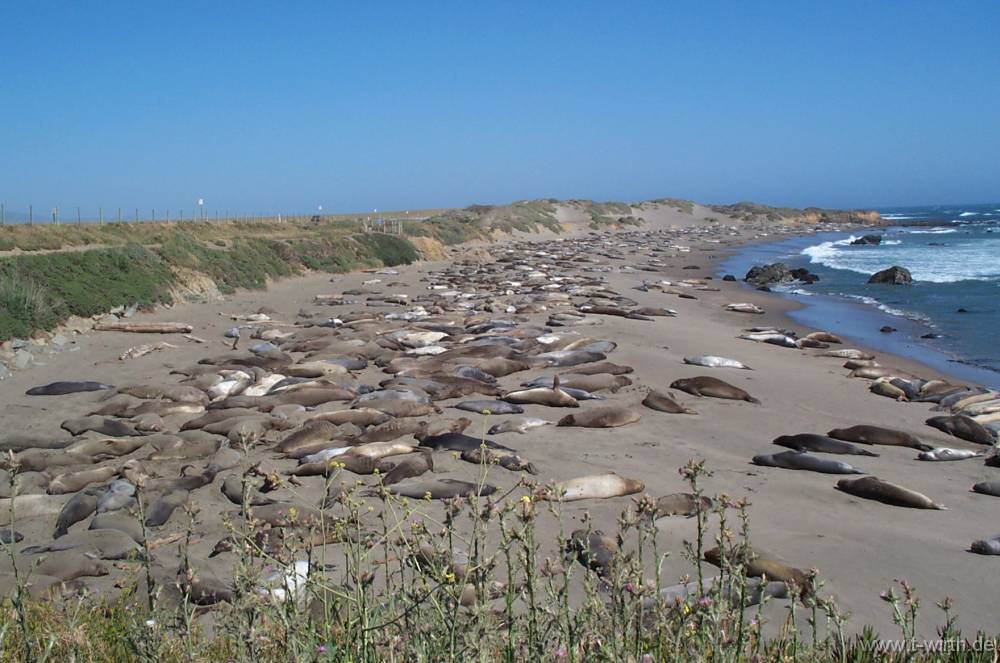 Zufallsbild aus der Galerie