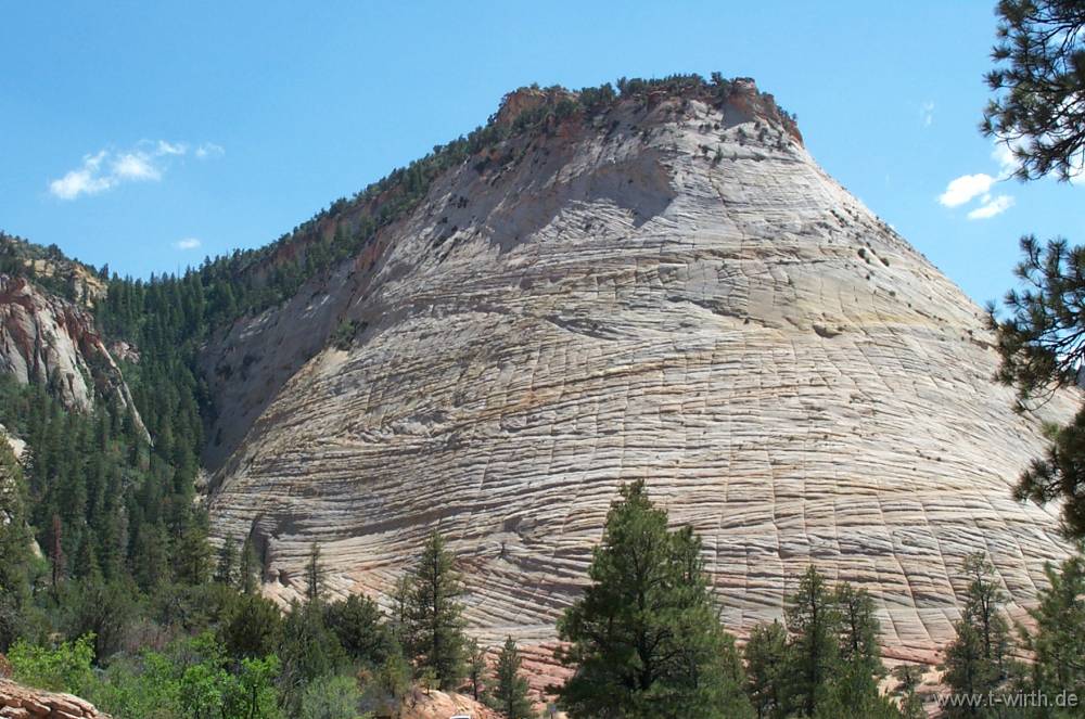 Zufallsbild aus der Galerie