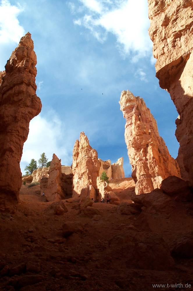 Zufallsbild aus der Galerie