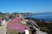 1107 - 17-Mile-Drive 